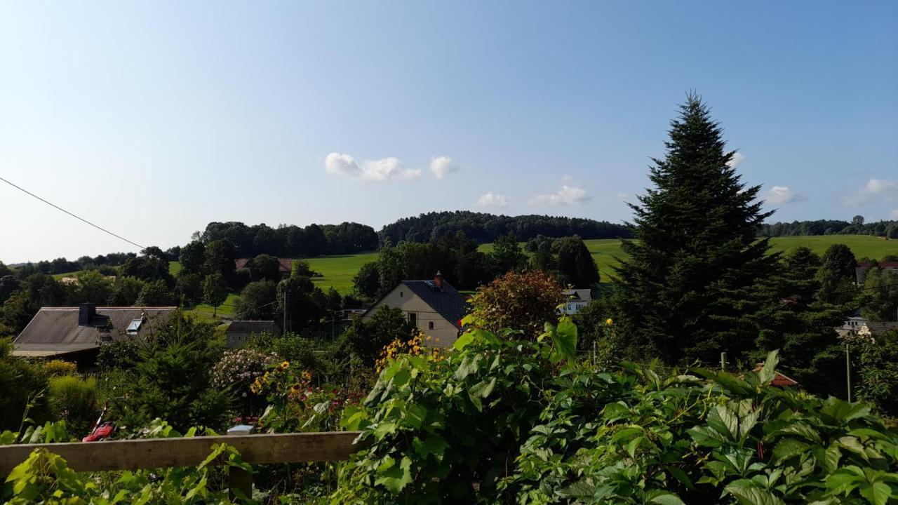 Falkenstein Reinhardtsdorf-Schona Exteriör bild